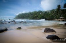 mirissa strand beach