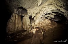 perlis nationalpark gua wang burma
