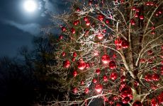 baum christbaum christbaumkugeln mond unheimlich dark