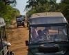 leopard jeeps yala nationalpark