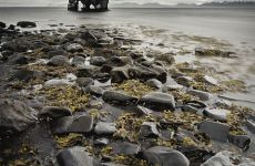Der Basaltfelsen Hvitserkur im Norden Islands