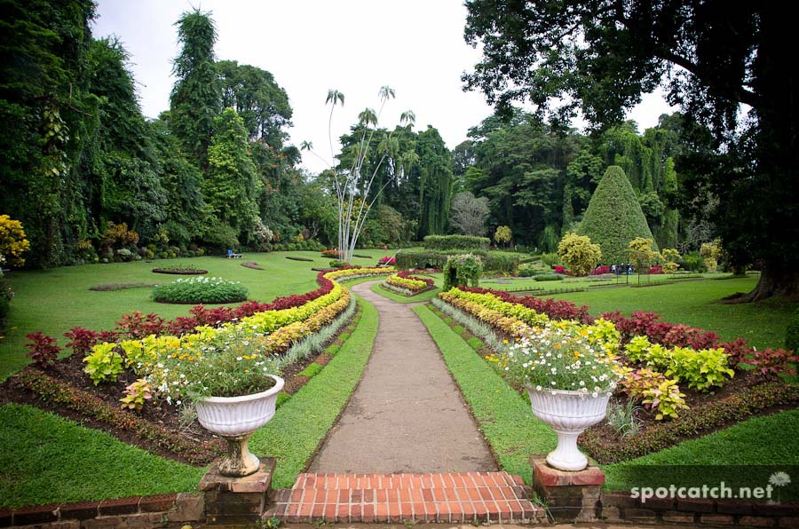 kandy botanical gardens botanischer garten