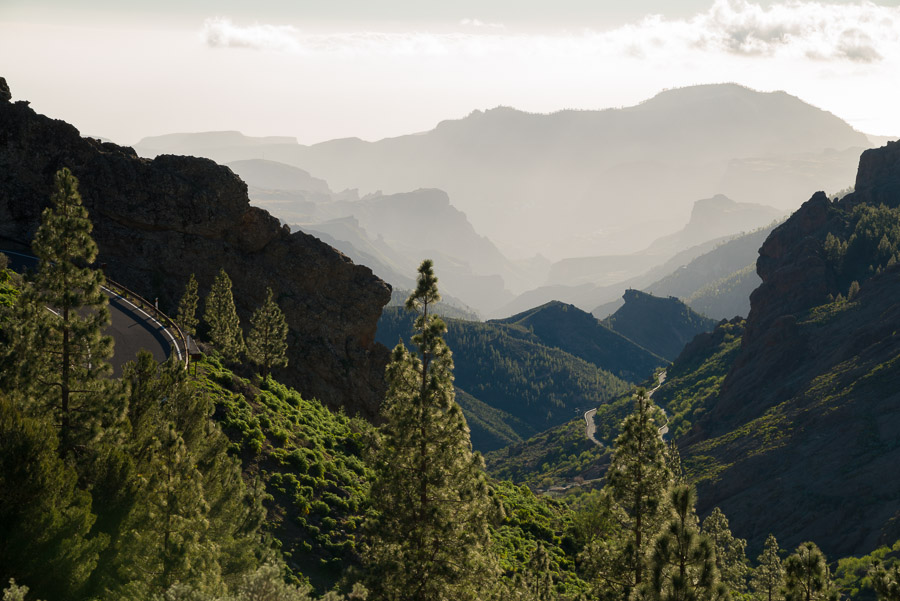 Bewaldetes Tal in Gran Canaria